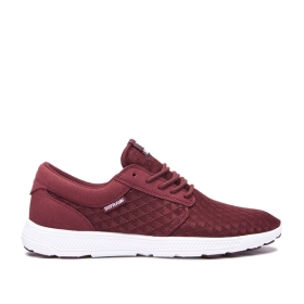 Supra Mens HAMMER RUN Low Top Shoes Andora/white | US-19785